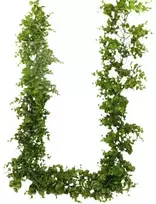 Dirbtinė gėlė girlianda Bukmedis, 180 cm