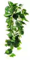 Dirbtinis vijoklis Skindapas, 100 cm