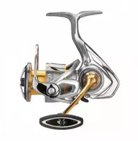 Ritė Daiwa Freams LT 4000C-5000C