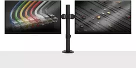 Monitoriaus Laikiklis - LINDY Dvigubas Reguliuojamas Monitoriaus Laikiklis 13-32", Juodas