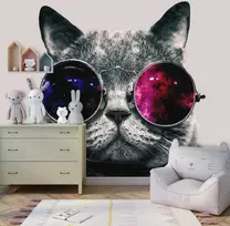 Fototapetai - Katinas su akiniais