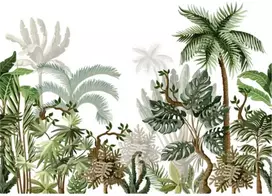 Fototapetai - Palmės baltame fone