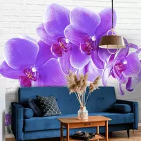 Fototapetai - Užburiančios orchidėjos