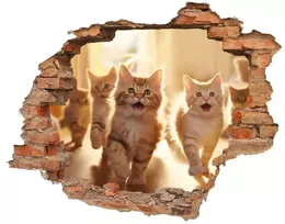 3D sienų lipdukas - Kačiukai
