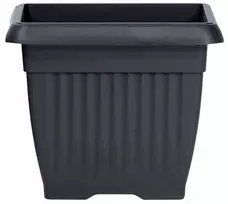 Prosperplast Dekoratyvinis gėlių vazonas Terra 19x19x16cm antrac. sp./kvadrat. /plastikinis