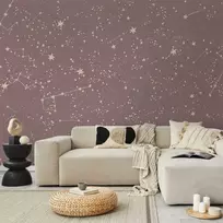 Artgeist Fototapetas - Night Sky - Artistic Constellations and Stars in Pastel Shades