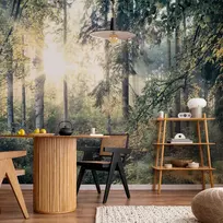 Artgeist Fototapetas - Tales of a Forest