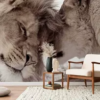 Artgeist Fototapetas - Lion Tenderness (Sepia)