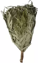 Eukalipto vanta