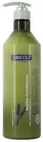 Angel Professional Kondicionierius pažeistiems plaukams Dancoly Aroma Conditioner Dry and Damaged Hair 1000ml