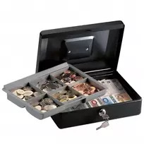 Master Lock Pinigų dėžutė su įdėklu CB-10ML, maža