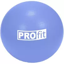 Gimnastikos Kamuolys PROFIT 75cm su Pompa
