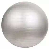 Gimnastikos kamuolys SPORTBAY® 55 cm (Spalva: Pilka)