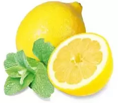HARVIA saunos kvapų koncentratas, mėtų ir citrinų 100 ml