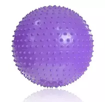 PROFIT Gimnastikos Kamuolys su Masažu 55cm Violetinis DK 2104