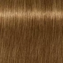 Schwarzkopf Igora Royal Absolutes ilgalaikio poveikio žilų plaukų dažai 60 ml - 9-460