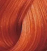 Wella Color Touch Vibrant Reds plaukų dažai 60ml - 7/4