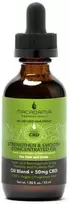 L'Oreal Macadamia Strengthen & Smooth Concentrated Oil maitinamasis, drėkinamasis koncentruotas aliejus sausiems plaukams ir galvos odai su CBD aliejumi, 53 ml