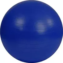 Sportech Trūksta gimnastikos kamuolys 75 cm mėlyna