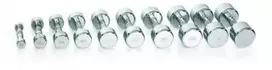 Svarmuo / hantelis GYMSTICK Pro Chrome Dumbbell (0,5–10 kg) (Svoris: 2kg)