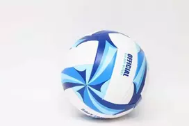 paplūdimio tinklinio kamuolys enero pro