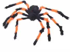 Helovino voras (75cm)