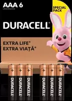 Baterijos DURACELL AAA, LR03, 6vnt