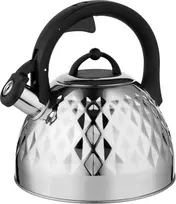 Florina Nerūdijančio plieno indukcinis ir dujinis virdulys Florina Fenny Mirror 2,5 l