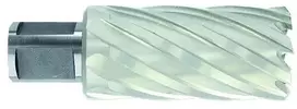 Tivoly Metalo gręžimo freza Ø12X80X50 мм HSS, tvirtinimas Ø19 мм, Weldon