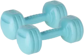 Bituminiai hanteliai 2x2kg, REBEL ACTIVE