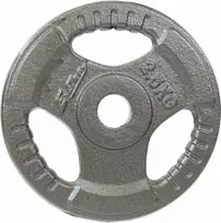 Hammertono svoris 2,5kg Enero Fit