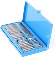 Antgalių rinkinys 40vnt .Metalinėje dėžutėje (HEX,TORX,SPLINE)
