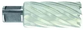 Tivoly Metalo gręžimo freza Ø21X80X50 мм HSS, tvirtinimas Ø19 мм, Weldon