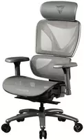 ThunderX3 XTC Ergonomic Office Chair, Mesh – Pilkas