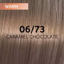 Plaukų dažai Wella Professionals Shinefinity Glaze 60ml - 06/73