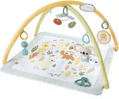 Mattel Fisher-Price Simply Senses naujagimio mankštos kilimėlis su 6 sensoriniais žaisliukais