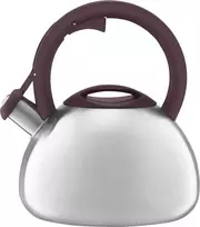 Virdulys Master Stone 2,9 l AMBITION