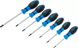 Bgs Technic Atsuktuvų rinkinys | T-Star su skyle (Torx) | T10 - T40 | 7 vnt. (7841)