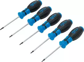Bgs Technic Atsuktuvų rinkinys | T-Star su skyle (Torx) | T6 - T10 | 5 vnt. (6826)