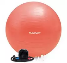 Gimnastikos kamuolys Tunturi Gymball 65–75 cm, Rose auksinis, Anti Burst (Diametras: 65 cm)