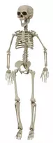Hisabjoker Ab Joker - Halloween - Skeleton 76 cm (90091)