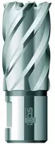 Grąžtas BDS Kernbohrer HSS Standard 60.0mm Schnitt.30mm Weldon-Aufnahme KBK-060