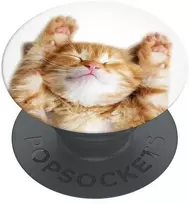 Popsockets PopGrip Basic Snoozy Cat