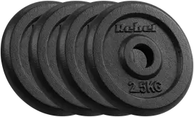 Ketaus svarelių rinkinys 4x2.5kg, skylė 31mm, klasikinė plokštelė, REBEL ACTIVE