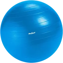 Reabilitacinis gimnastikos kamuolys 55 cm su rankine pompa, mėlynas, REBEL ACTIVE