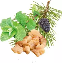 HARVIA saunos kvapų koncentratas, pipirmėčių, pušų, smilkalų ir miros 100ml