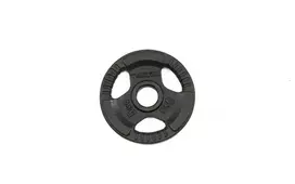 Svoriai štangai TOORX DGN-TG5 D50mm 5kg