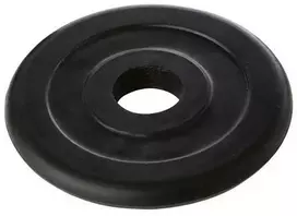Svoriai štangai TREMBLAY D28mm 10kg gumuoti