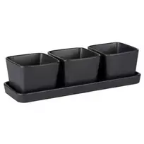 Užkandžių ir padažų rinkinys, 3 dubenys su padėklu, 300 ml, WENKO