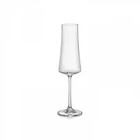 Crystalex Taurės šampanui 210ml ,6vnt XTRA